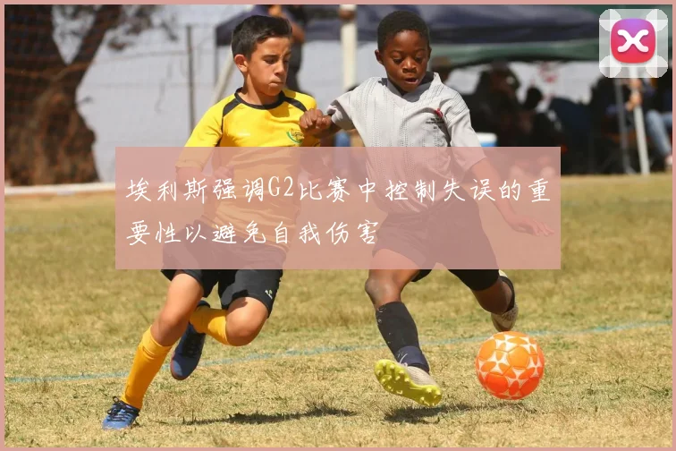 埃利斯强调G2比赛中控制失误的重要性以避免自我伤害